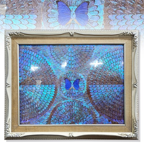 신비의 푸른빛 모르포 나비공예 액자(383112)